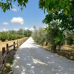 Terre Di Nacchia مكان تخييم *
