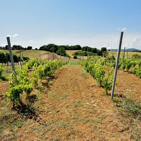 Terre Di Nacchia Campsite Capodimonte