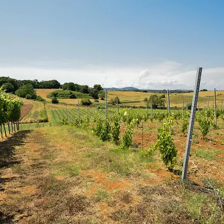 Kamp alanı Terre Di Nacchia