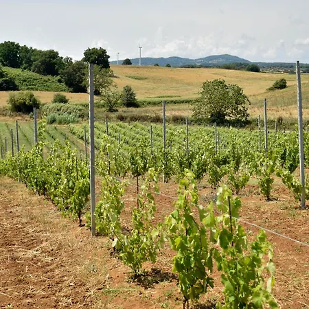Terre Di Nacchia Campeggio Capodimonte