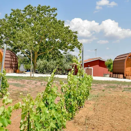 Terre Di Nacchia Campsite