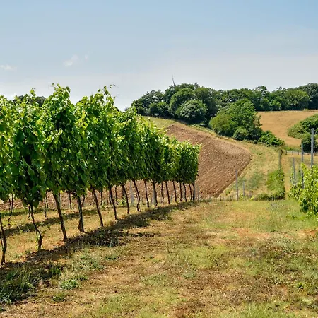 Terre Di Nacchia * Capodimonte