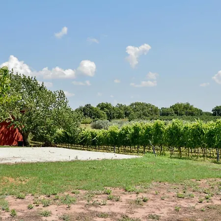 Terre Di Nacchia Kemp *