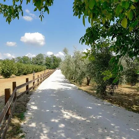 Terre Di Nacchia Kamp alanı *