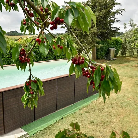 Terre Di Nacchia Campsite Capodimonte