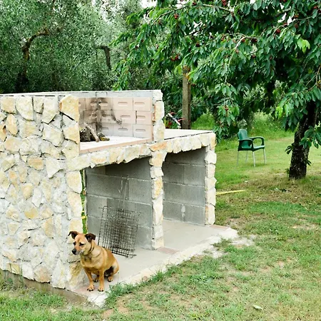 キャンプ場 Terre Di Nacchia *